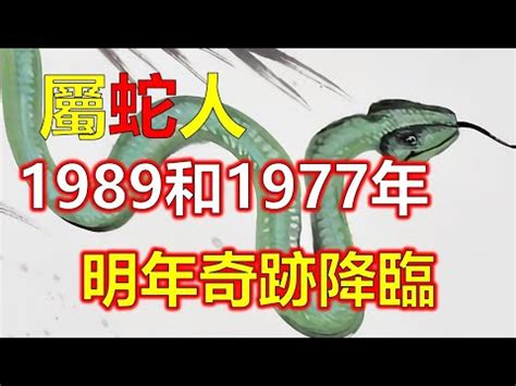 1989年五行屬什麼